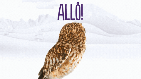 How You Doin Hello GIF by TELUS