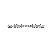 25Cats Sticker by Gray Hat Films