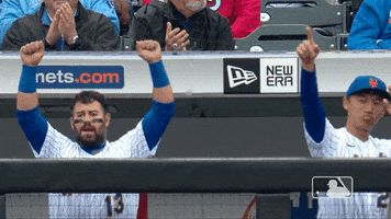 Ny Mets Sport GIF by MLB
