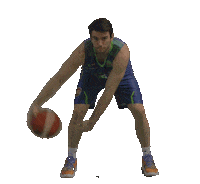 Tofas Sticker by Türkiye Basketbol Federasyonu