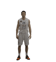 Ing All Star Sticker by Türkiye Basketbol Federasyonu