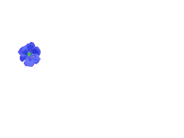 flowers hello STICKER