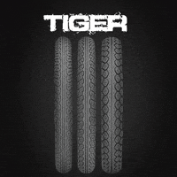 Tiger Technic Pneus GIF by Pneus Technic