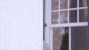 LongwoodUniversity lu lancer longwood longwood university GIF