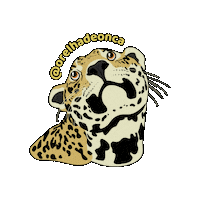 orelhadeonca jaguar onca orelhadeonca orelha de onça Sticker