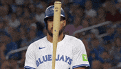 Blue Jays Baseball GIF by Toronto Blue Jays