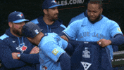 Blue Jays Celebration GIF by Toronto Blue Jays