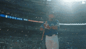 Home Run Baseball GIF by Toronto Blue Jays