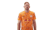 Rb Leipzig Thumbs Up Sticker by Bundesliga