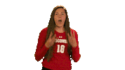 Wisconsin Volleyball Wow Sticker by Wisconsin Badgers