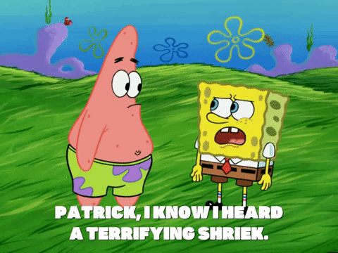 season 6 porous pockets GIF by SpongeBob SquarePants