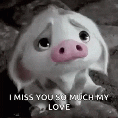 Miss You So Much GIF by memecandy