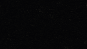 2d animation fire fly GIF by Caleb Wood