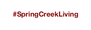 Rocky Mountains Alberta Sticker by SpringCreekCanmore