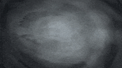 mozemm animation glas2022 manta ray GIF