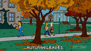 Episode 11 GIF by The Simpsons