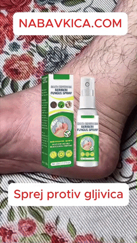 nabavkica giphyupload GIF
