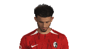 Look Up Sc Freiburg Sticker by Bundesliga