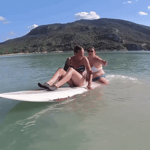 Tvln GIF by The Vanlife Network