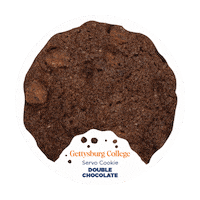 Chocolate Cookies Sticker by Gettysburg College