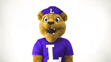 Confused Mascot GIF by Linfield College