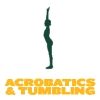 Tumbling Baylor Bears Sticker by Baylor Athletics