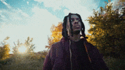 Confused GIF