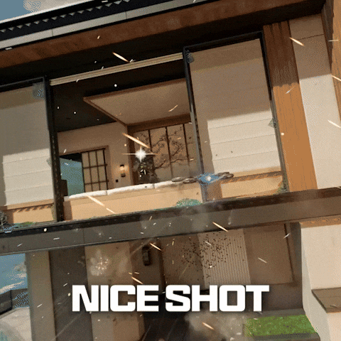 Nice GIF by Call of Duty