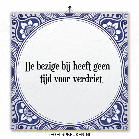 Focus Nl GIF by Tegelspreuken.nl