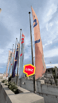 Summer Omg GIF by Linz News