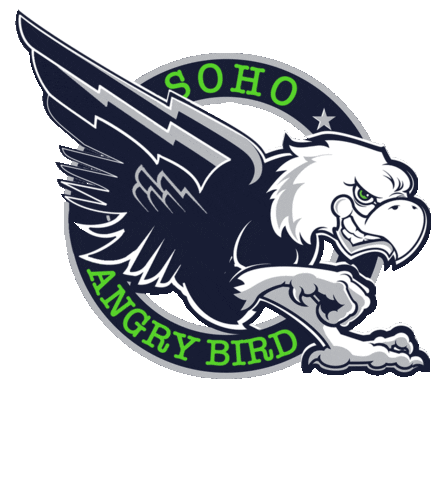 f45northparamus giphyupload f45 north paramus f45northparamus f45northparamusangrybird Sticker