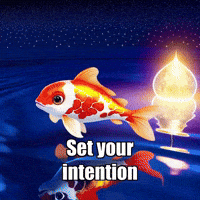 Enlightenment Manifestation GIF by TheConfishius