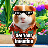 Wisdom Intention GIF by Guinea Gambino