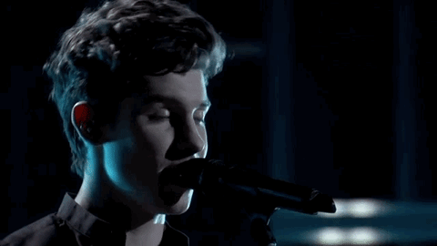 shawn mendes 2018 bbmas GIF by Billboard Music Awards