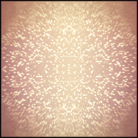 glitter gold GIF by Erica Anderson