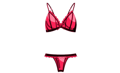 Lingerie Love Sticker by Yaffa