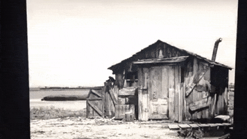 patrace oh no mind palace GIF