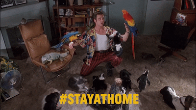 TIBBOR giphyupload coronavirus stayhome stayathome GIF
