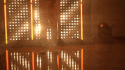 Softball Tennessee GIF by NCAA Championships