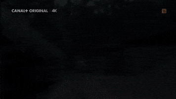 Friends GIF by CANAL+ Polska