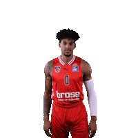 Sport Basketball Sticker by Bamberg Baskets