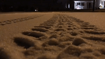 Early Morning Snow Falls in Rochester Area