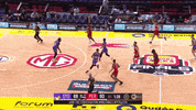 GIF by NBL