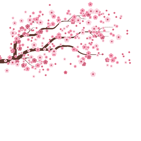 cherry blossom falling Sticker by KKday PH