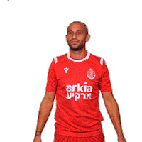 HapoelTelAviv hta yallahapoel יאללההפועל Sticker