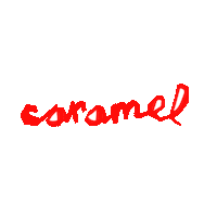 Animation Logo Sticker