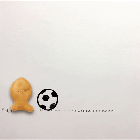 soccer goal GIF by Goldfish