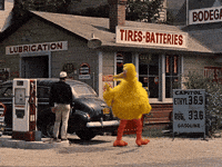 Sesame Street Bird GIF by Bell Brothers