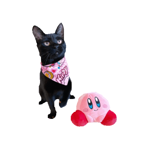Black Cat Pink Sticker by Geekster Pets