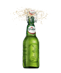 beer cheers Sticker by Grolsch